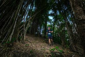 BIB: 
                            <button type="button" onclick="openModal(19395347)" class="btn btn-primary btn-sm float-right btn-popup" data-toggle="modal" data-target=".modal-high-quality">
                        <i class="fas fa-shopping-cart"></i> Add to Cart
                    </button>
                                            <button type="button" onclick="isThisMe(19395347, true)" class="btn btn-success btn-sm float-right btn-popup btn-isme hidden" data-toggle="tooltip" data-placement="bottom" title="นี่คือรูปของคุณใช่ไหม คลิกที่นี่เพื่อเอาเข้าอัลบั้ม">
                        <i class="fas fa-plus"></i> Add to album
                    </button>
                    <button type="button" onclick="isThisMe(19395347, false)" class="btn btn-warning btn-sm float-right btn-popup btn-isnotme hidden">
                        <i class="fas fa-ban"></i> Remove from album
                    </button>